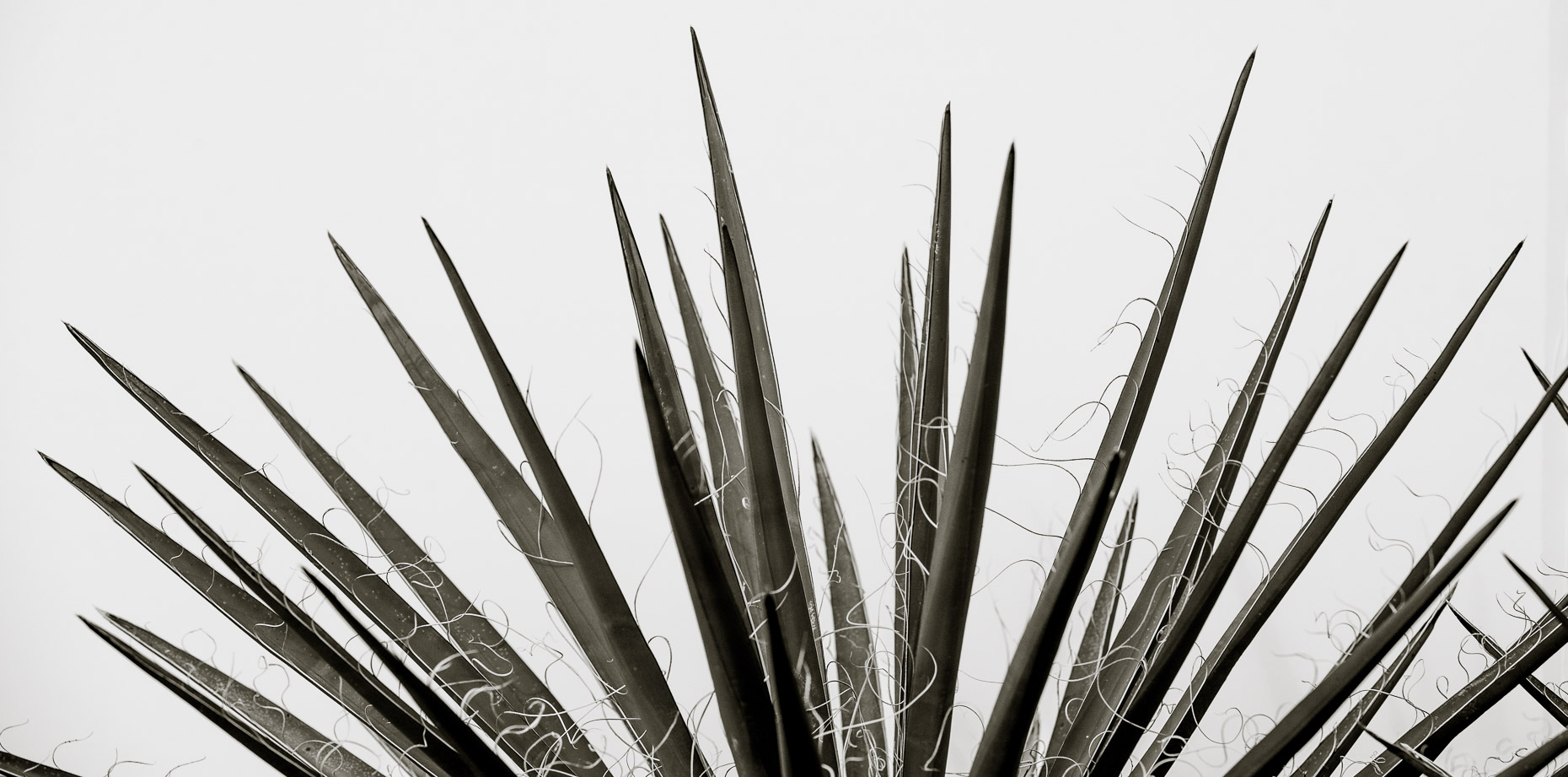 https://8c6505a1e6c5ab0874cb-904d572f0272011813276ec8a5ab7e7a.ssl.cf1.rackcdn.com/CarsonArtacPhotography_2017Website-0944.jpg